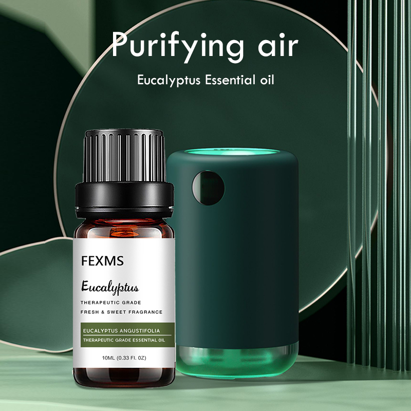 Home Fragrance Eucalyptus - Ätherisches Eukalyptusöl (100 % rein und