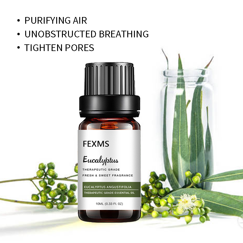 Ätherisches Eukalyptusöl (100  – Home Fragrance Eucalyptus Bewertung und Preis