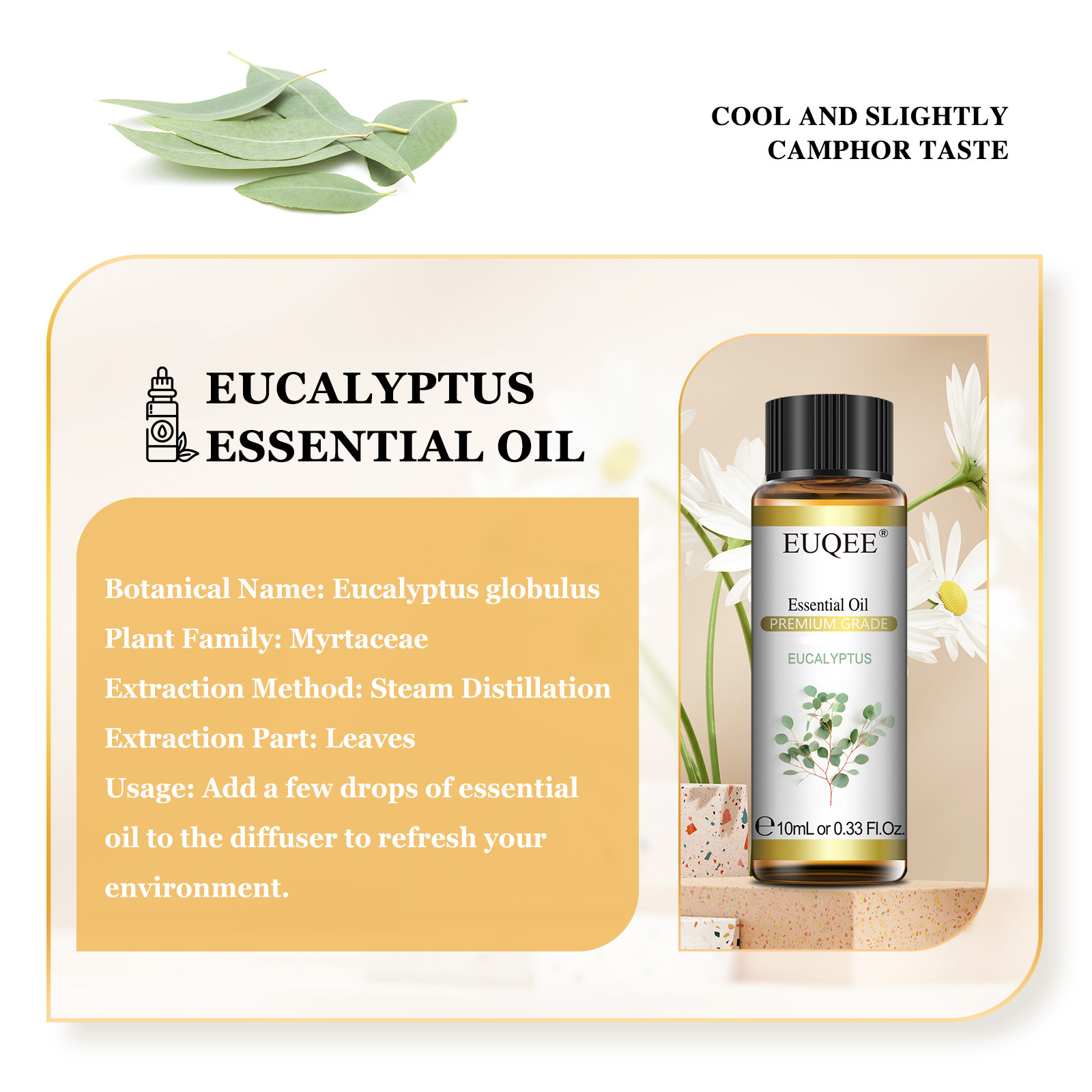 EUQEE 10 ml natürliche ätheris – Home Fragrance Eucalyptus Bewertung und Preis