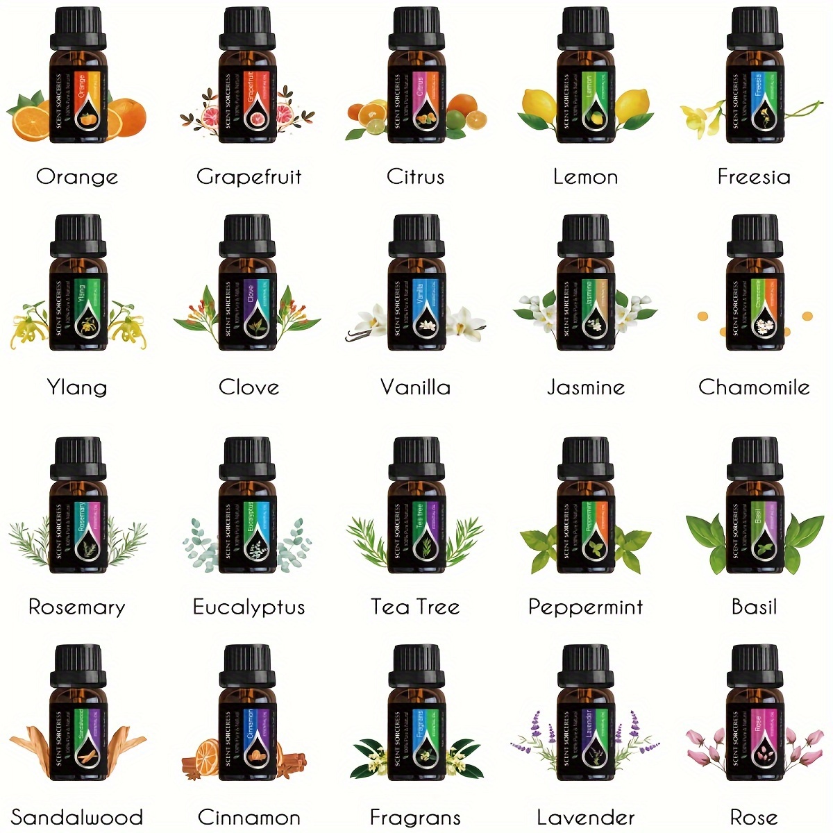 20-teiliges Set Klassisches Ma – Home Fragrance Eucalyptus Bewertung und Preis