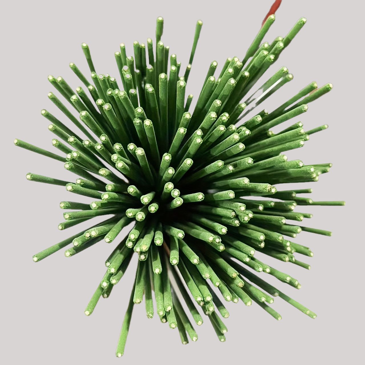Reed Diffuser Sticks Zitroneng – Home Fragrance Verbena Bewertung und Preis